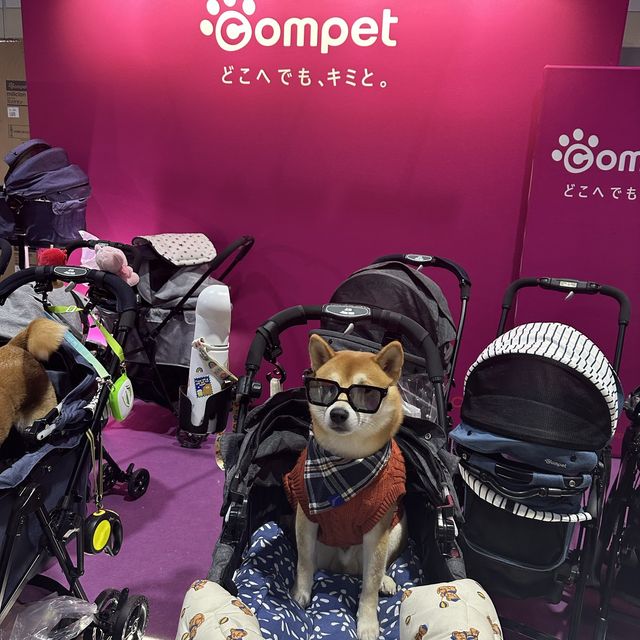 คนรักสัตว์ห้ามพลาดงาน pet expo 2023 🐕