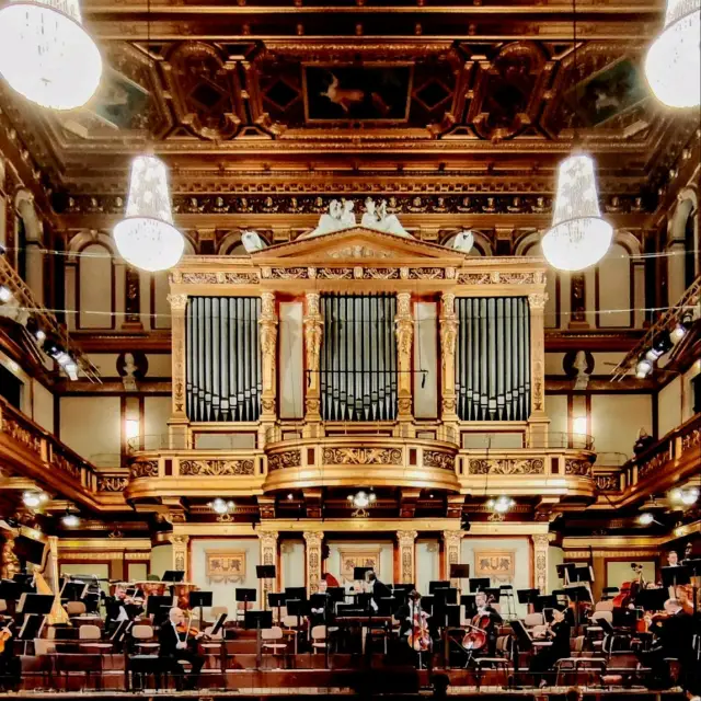 Wonderful hours in the Musikverein, Vienna
