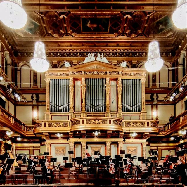 Wonderful hours in the Musikverein, Vienna 