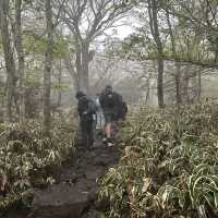다양한 식생식물과 동물을 만날 수 있는 ⛰️ 한라산 성판악 코스