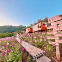 โฮมสเตย์เชียงใหม่ วิวสุดปัง ท่ามกลางสวนดอกไม้ เริ่มต้นคนละ 900 รวมอาหารเช้า🌷🌸🌹🌺