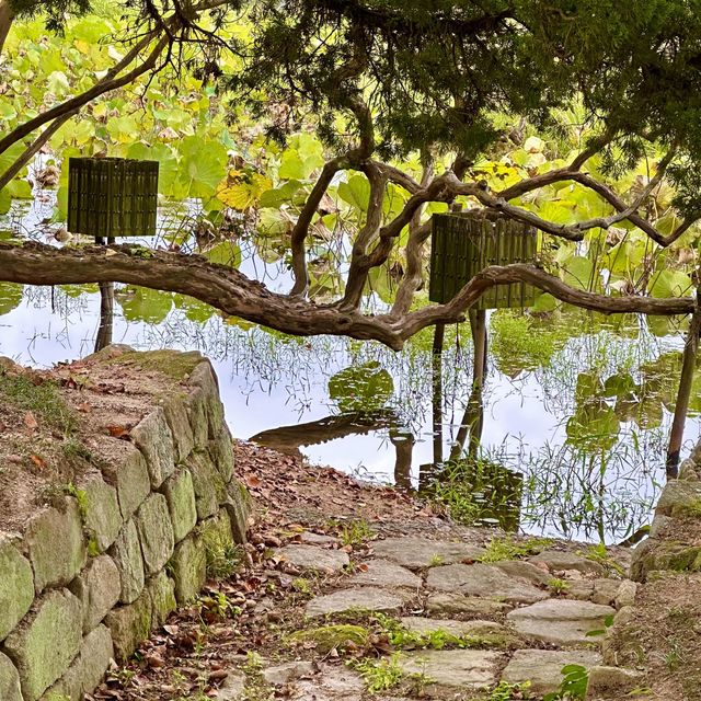 📖 신라의 역사가 담긴 평화로운 서출지 산책여행을 떠나보세요! 💚