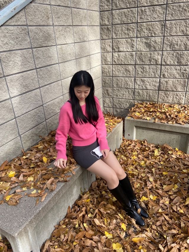 댕댕이와 함께하는 단풍 명소🍁❤️