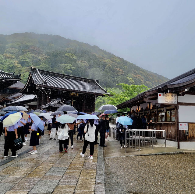 교토에 가면 여기는 꼭 가야죠🇯🇵 교토 랜드마크 청수사🇯🇵