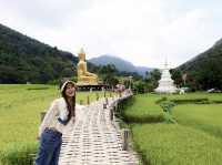 สักการะพระเจ้าต๋นหลวงกลางทุ่งนา @วัดนาคูหา จ.แพร่
