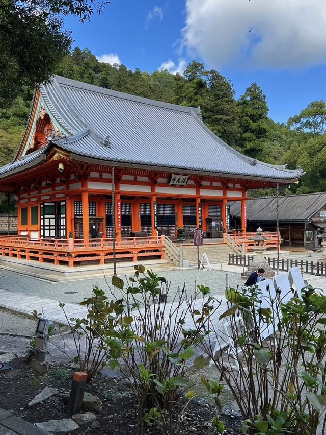 🔴🧘‍♂️勝尾寺～紅色達摩公仔的世界⛩️🔴🧘