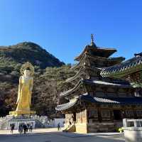 충북 단풍 명소 속리산 법주사