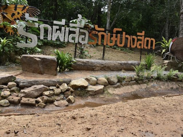 อุทยานแห่งชาติปางสีดา