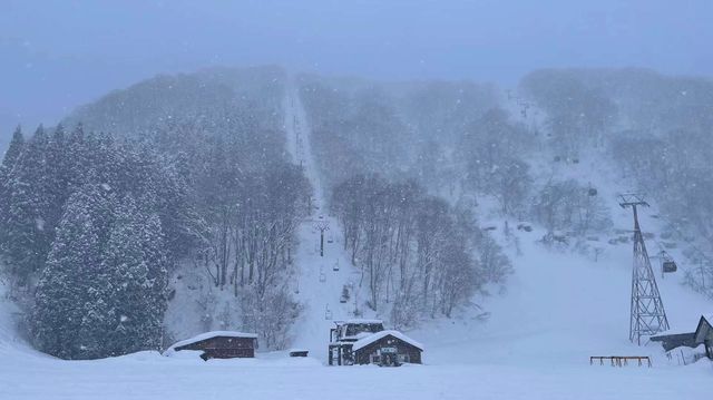 長野白馬五竜スキー場