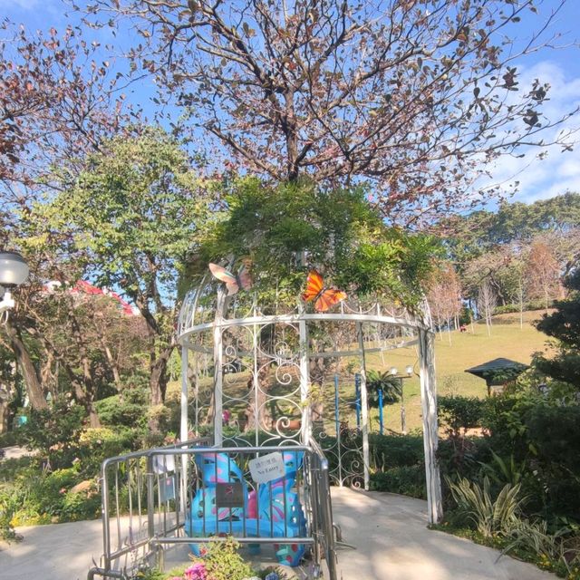 晨運緩跑~心曠神怡~花悅滿城~元朗公園