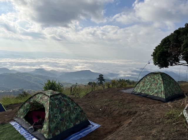 ลานกางเต้นท์ ยาป่ายาใจ 🏕️🌳@ดอยแหลม