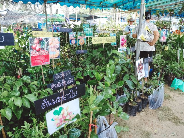 งานรักษ์เหลืองจันท์ ประจำปี 2566 
