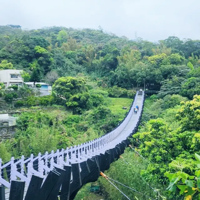 內湖白石湖吊橋加草莓園