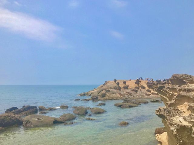 대만 예류지질공원 👍 타이베이 관광지 강추 !!
