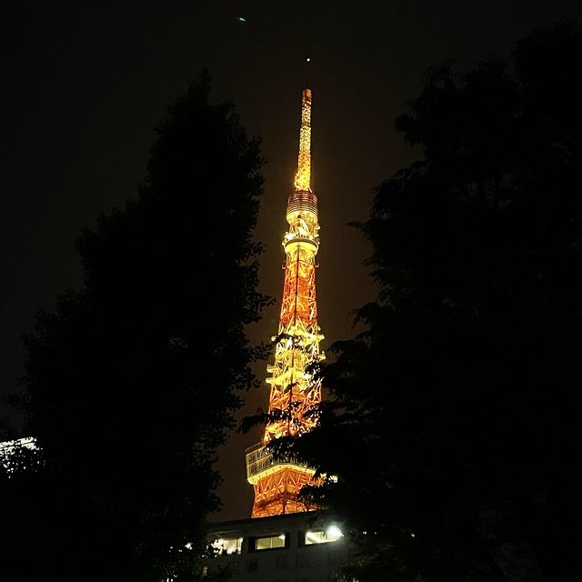 숨은 도쿄타워 관람 명소🗼