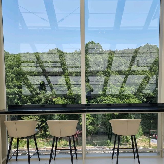 🏞 평일에만 여는 파주 신상 카페 '모쿠슈라'🏞