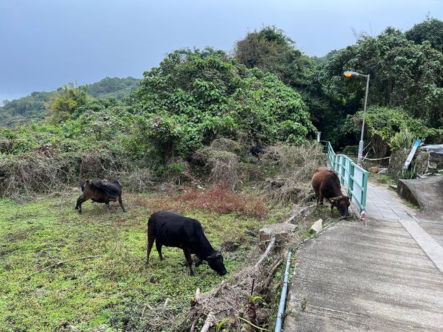 香港其中一個海岸公園 - 海下海岸公園