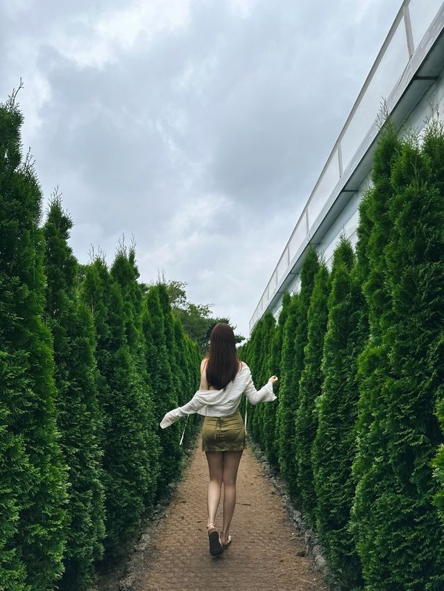 수국이 만개한 정원, 휴애리 자연생활공원🪻