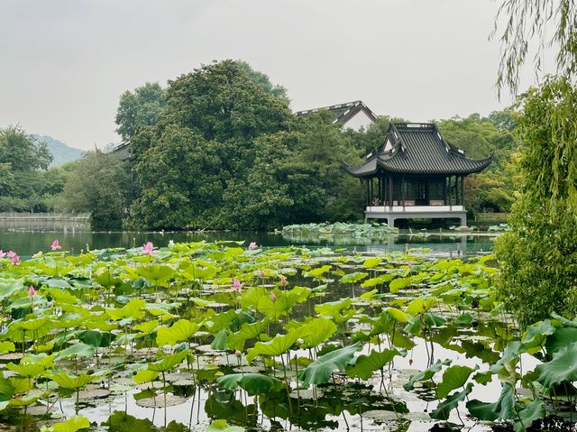 Xi Hu Lake - กลางสายฝน 