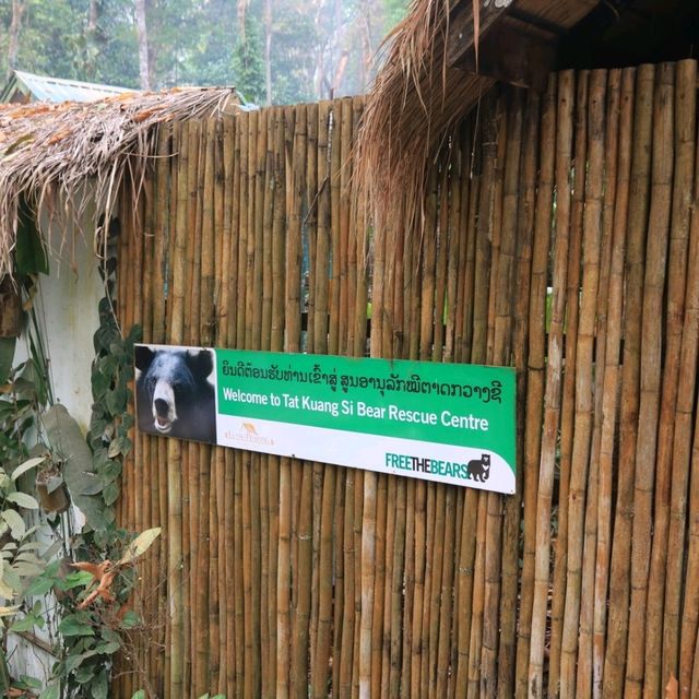 Kuang Si Waterfall: Nature's masterpiece unveiled