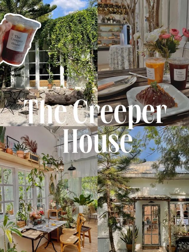 The creeper House • คาเฟ่ในสวน มุมถ่ายรูปสวยไม่ซ้ำ