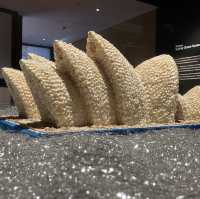 Amazing Museum 