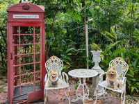 Café and Farm วิวดี ติดธรรมชาติ 