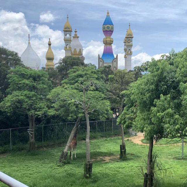 🎢🎡 六福村 🎠 兒童天地 🎡🎪