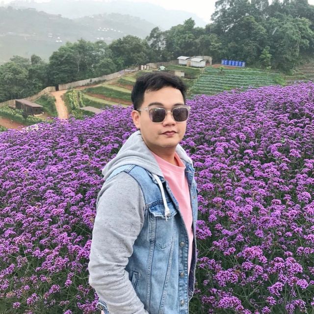 ไร่ดอกลมหนาว