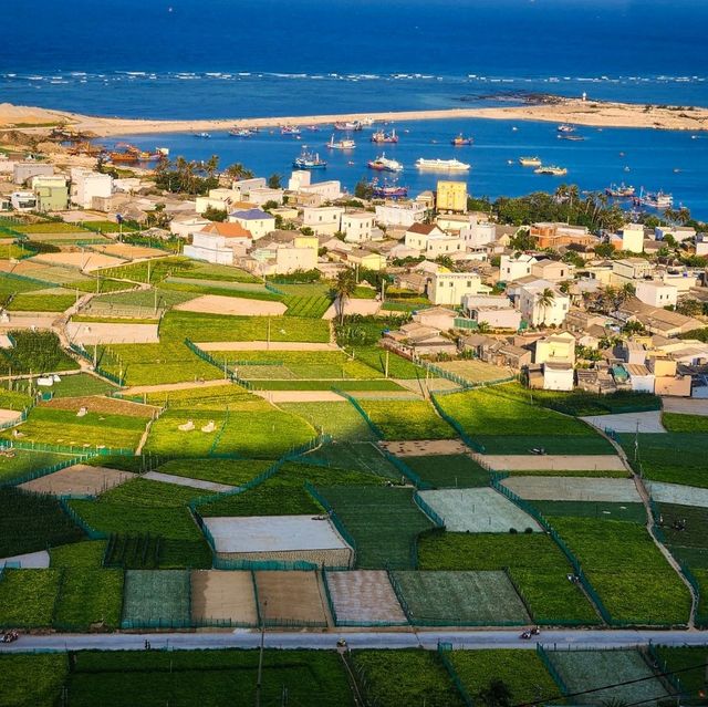 Ly Son Island
