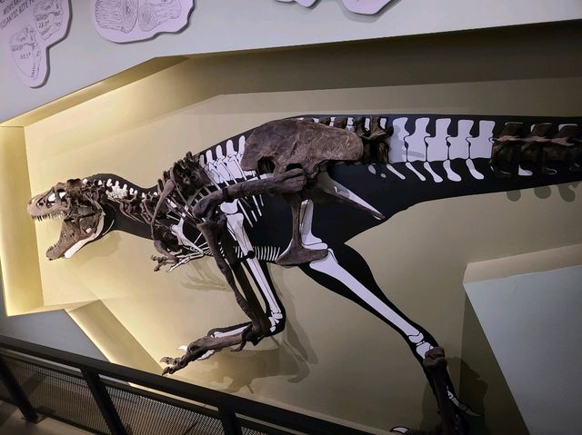 科學館古生物恐龍展