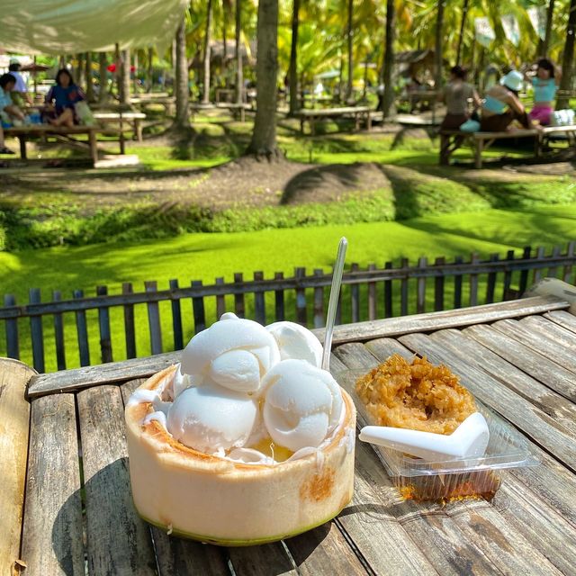🌴치앙마이 바파오 코코넛마켓 인생샷 남기기좋은 🥥천국