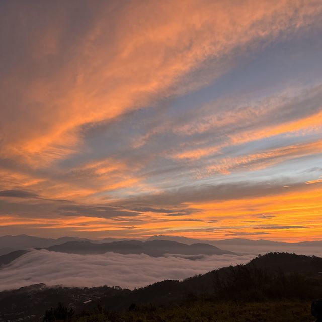 Mt.Yangbew | บาเกียว ฟิลิปปินส์🇵🇭