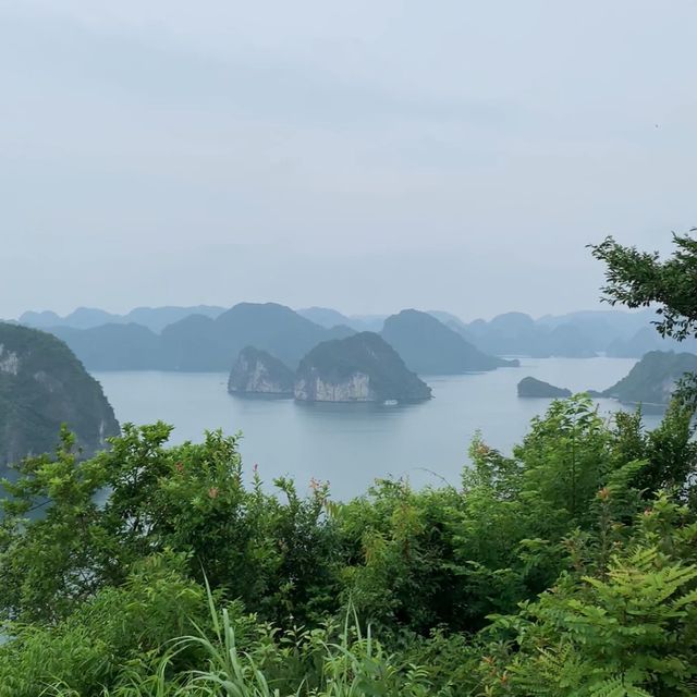 【ハロン湾】ベトナム世界遺産に行ってみた！