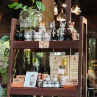Lifehouse Cafe & Kitchen คาเฟ่กลางสวนฟิลโฮมมี่