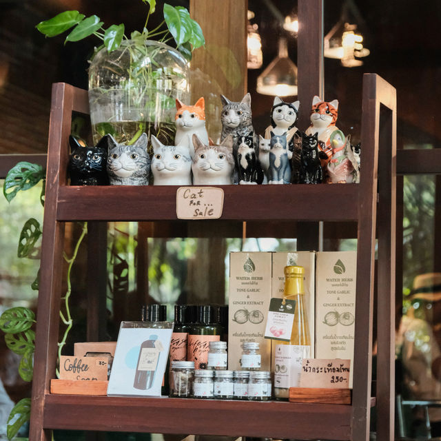 Lifehouse Cafe & Kitchen คาเฟ่กลางสวนฟิลโฮมมี่