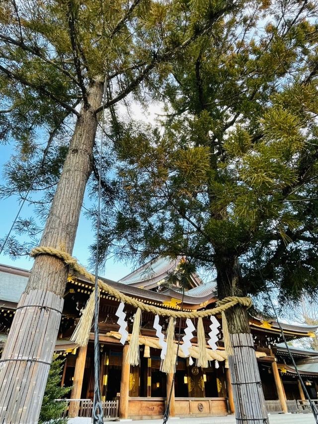 【神奈川県/寒川神社】神奈川県屈指の八方除神社
