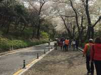 首爾塔+南山公園半日遊