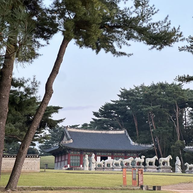 야간에도 멋진 모습을 감상할 수 있는 남양주 홍유릉 