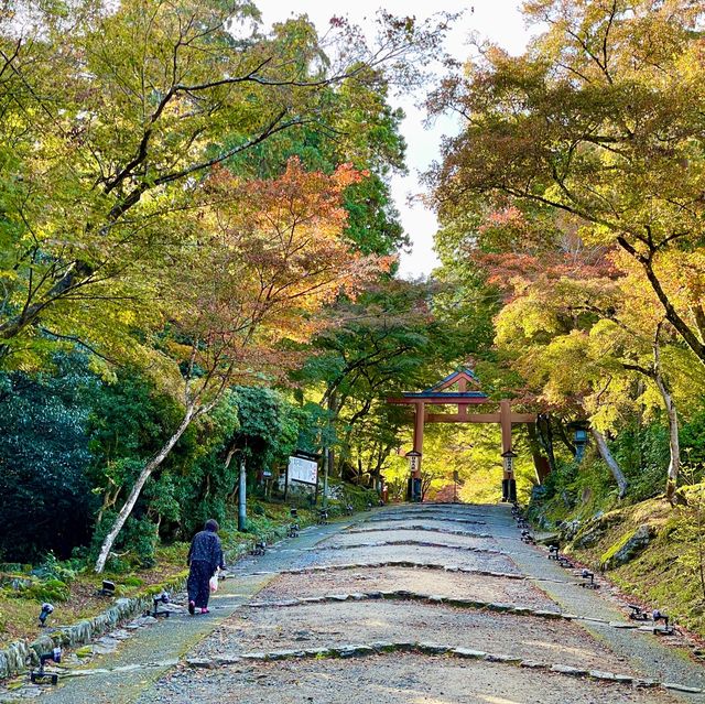 Sacred Harmony: Hiyoshi Taisha's Sanctuaries