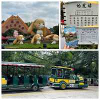 【 近距離觀賞大型野生動物。購票優惠攻略 】  