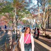 三次市　尾関山公園
