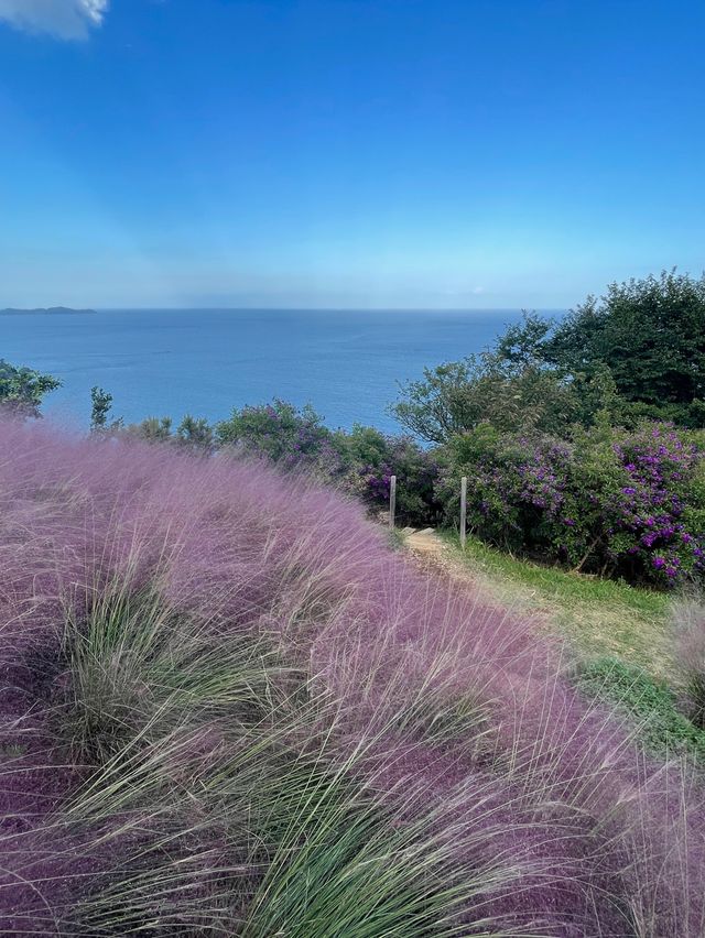 熱海の絶景カフェスポット！アカオフォレスト