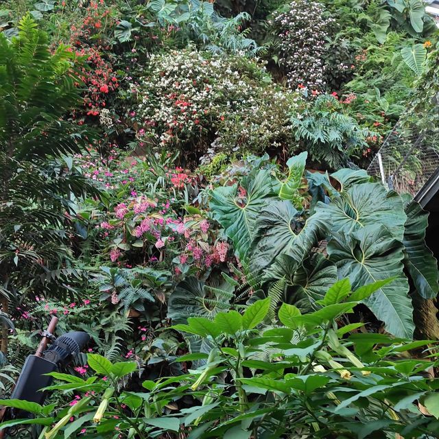 Gardens by the Bay