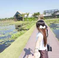 DUBUA CAFE (ดูบัว เคเฟ่)