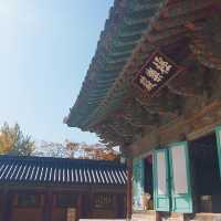 수학여행으로 간 불국사보다 더 좋아~ 혼자여행 경주여행 코스 불국사