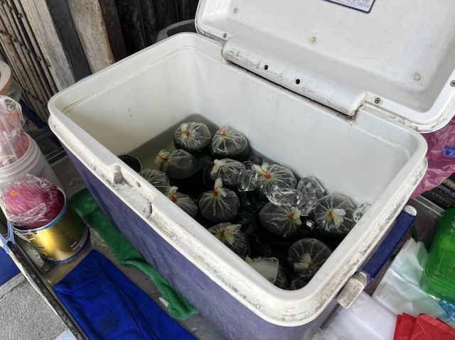 เที่ยวตลาดพลูเดนหาอร่อยกินอร่อยๆ