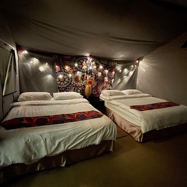 （桃園/復興）免搭帳⛺️的野溪露營-八度野溪露營區