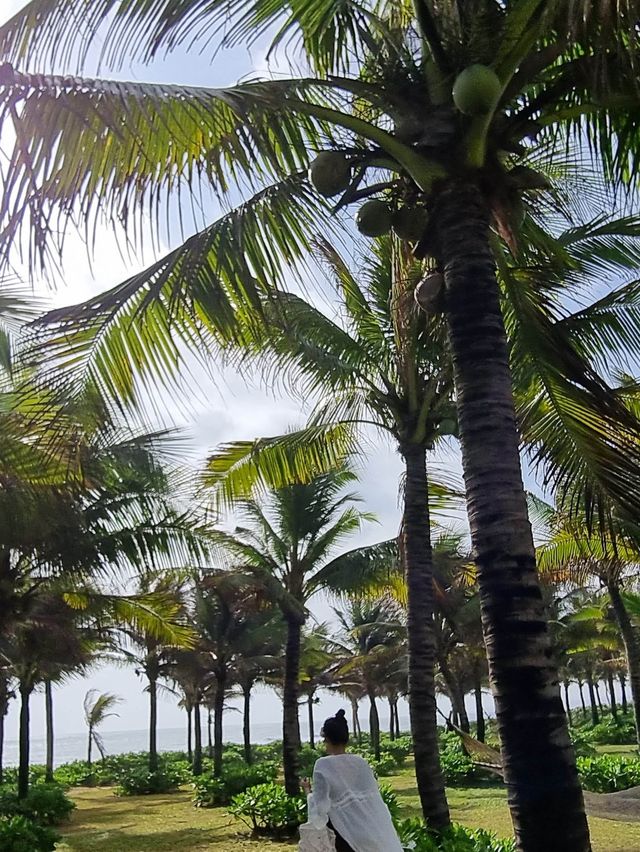 나트랑 최고의 감성숙소❤️ 아나만다라 깜란🌴
