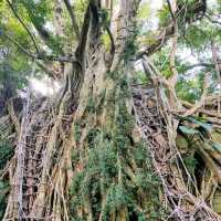 布農族原住民生活體驗